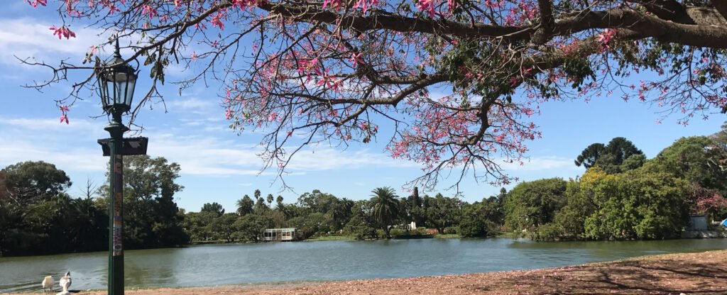 Bosques de palermo